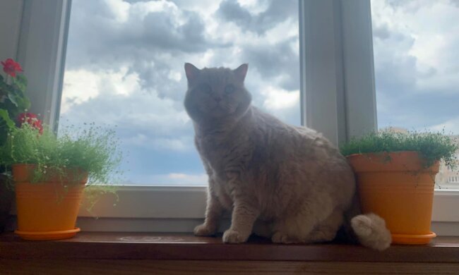 Погода в Україні, фото: facebook.com/tala.didenko