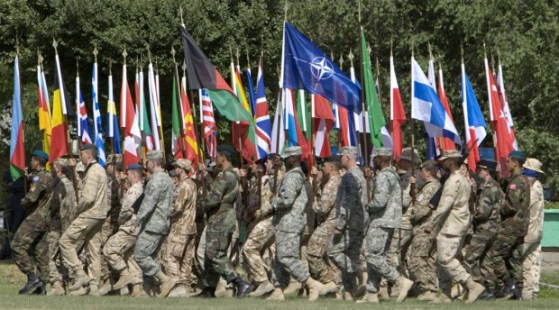 НАТО устроит России военный ад, Путин в панике