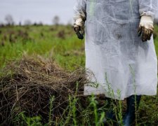 Сидор Бокогрій 27 травня: чого категорично не можна робити