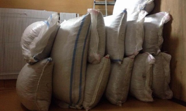 Прикордонники виявили на теплоході майже 700 кг фундука