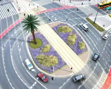 Варшавська пальма на Рондо де Голля — новий зелений простір