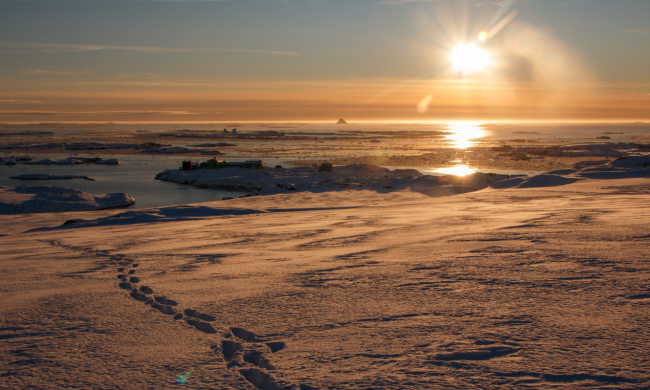 Антарктида, фото: facebook.com/AntarcticCenter