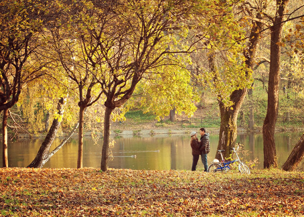 Райська осінь кинула якір в Одесі: чим порадували синоптики 4 листопада