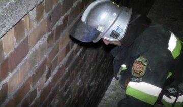 Українка вижила, впавши з дев'ятиповерхівки