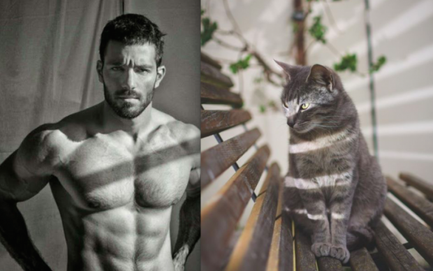 У мережі порівняли оголених хлопців і пухнастих котиків: хто переможе