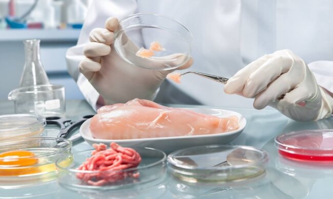 Пищевое отравление: опасные продукты