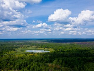 фото: Денис Вишневський / Facebook: Чорнобильський радіаційно-екологічний біосферний заповідник