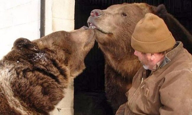 Нежности от 700-килограммового медведя (фото)