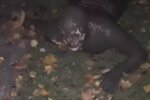 Мужчина в грязи, кадр из видео