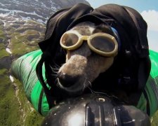 Собаки-десантники відкрили полювання на браконьєрів