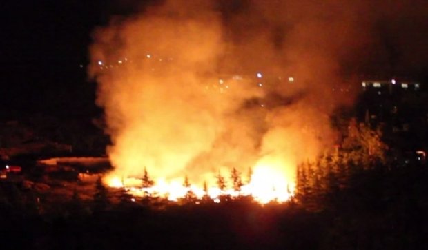Оккупационные власти Крыма пыталась скрыть пожар в "Артеке" (видео)
