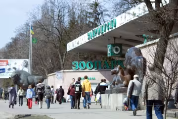 У Київському зоопарку поповнення, відвідувачі у захваті, - "які гарненькі!"