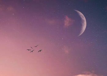 Ретроградность, изображение: Pinterest