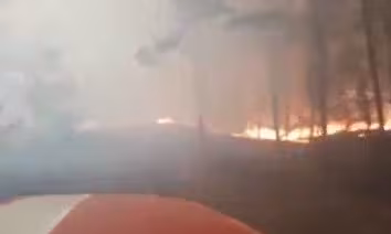 пожежа в Чорнобилі, скріншот з відео