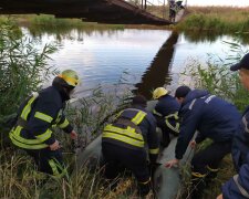 С моста - в воду: под Днепром погибла маленькая принцесса, город слепнет от слез