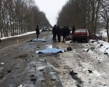 Жуткое ДТП на Волыни: водитель летел так, что пешехода разорвало на куски