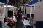 "Може, вони в гості їдуть?": потяг "Харків – Одеса" атакували полчища тарганів, - відео не для слабкодухих