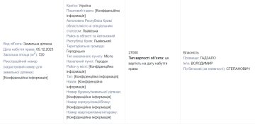 Майно Володимира Гадзало / фото: скріншот Єдиного реєстру декларацій