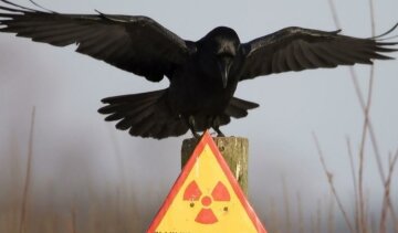 Кремль утилізує на Донбасі небезпечну зброю
