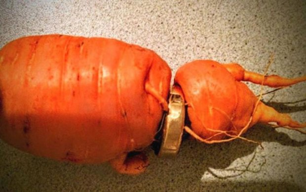 Редкая удача: канадка нашла бриллиант в морковке