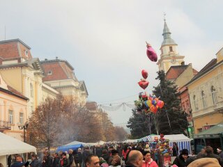 Фестиваль, Закарпаття онлайн