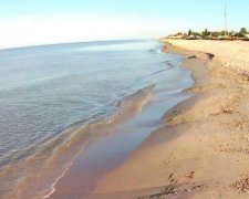 Українського актора "підселили" в номер до змії