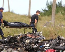 Катастрофа малайзійських авіаліній в Україні: з'явилися несподівані подробиці