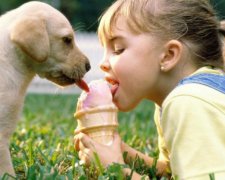 Благополуччя тварин: улюбленці отримали 5 свобод