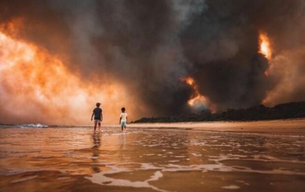 Пожары в Австралии, фото: Martin Von Stoll