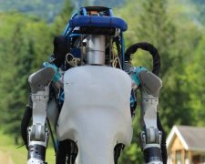 Роботы Boston Dynamics научились танцевать: видео