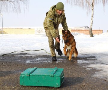 Кінолог Оксана Бойко: фото: facebook.com/DPSUkraine/