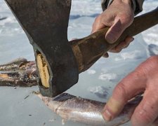 Росія годує найманців рибою часів Хрущова