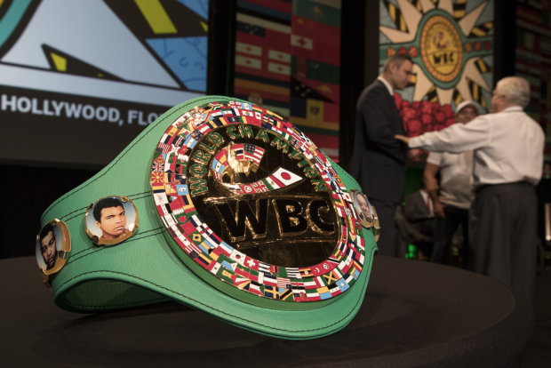 В Киеве пройдет 56-й Конгресс World Boxing Council