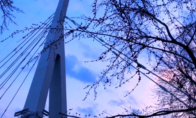 Скрін, відео YouTube