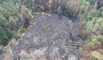 Пожежу радіаційного лісу загасили літаками