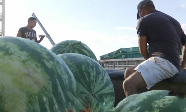 Баржа с арбузами, фото: скриншот из видео