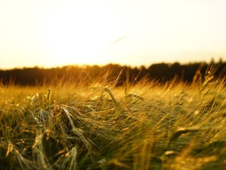 погода в Україні, фото pxhere