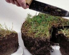 Українську землю продаватимуть по $1000 за гектар