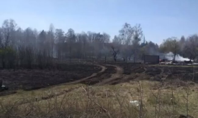 Скрін, відео YouTube