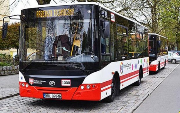 Поляки пересіли на українські автобуси
