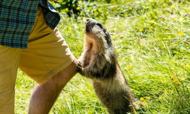 5 способов стать дружелюбнее