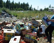 Молдавські маріонетки Кремля підняли ґвалт про "геноцид"