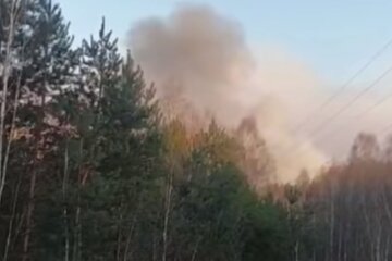 пожар в Чернобыле, скриншот из видео