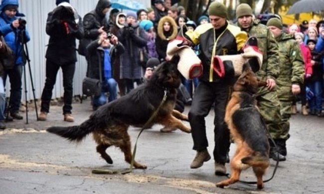 У Маріуполі відкрили новий кінологічний комплекс (фото)