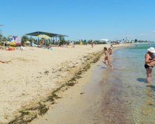 Сезон открыт: украинцев удивили "забитыми" крымскими пляжами
