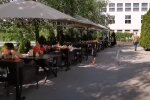 Верховная Рада заставит харьковчан выгуливать собак с лопатами