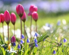 Синоптики розповіли, коли повернеться весна