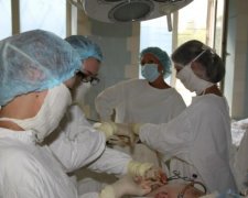 Глибоке мистецтво: російський лікар-проктолог робив селфі під час прийому пацієнтів