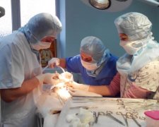 Колюча куля: ветеринари провели унікальну операцію 