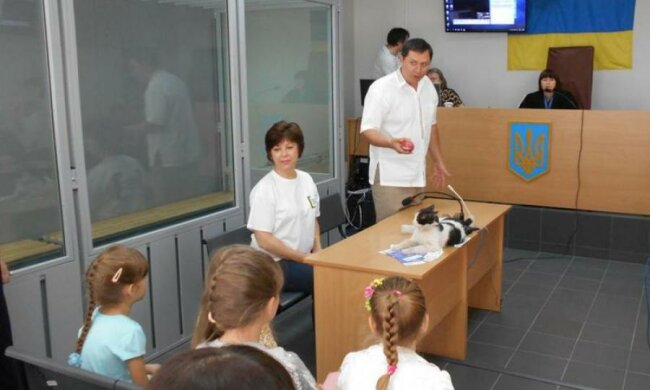 Украл, мяукнул - в тюрьму: в Украине впервые судили кота 